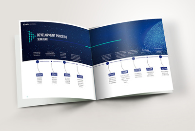 集團畫冊設(shè)計案例欣賞與專業(yè)服務(wù)標準